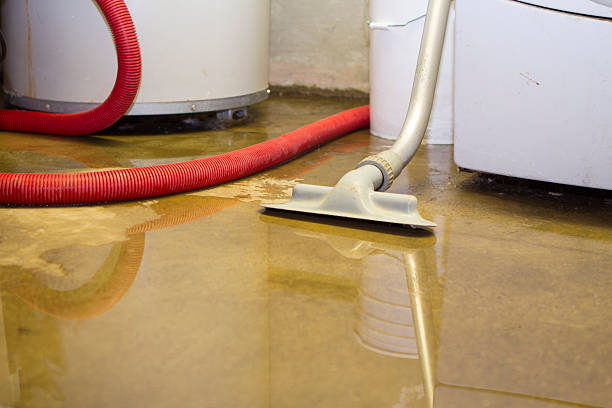 Best Water damage restoration near me  in Navarre, OH