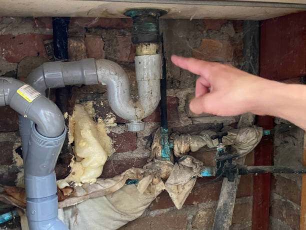 Best Sewage cleanup and water damage restoration  in Navarre, OH